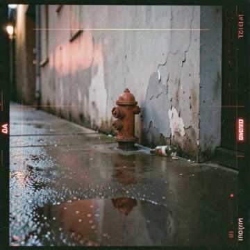 Survivor cover