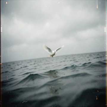 Hommage cover