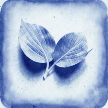 Nous cover