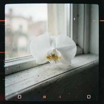 Единственное и неповторимое cover
