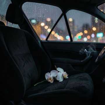 Dead Flowers in the Coupe cover