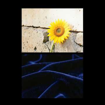 energetic French hip-hop R&B duo, punchy dynamic d cover