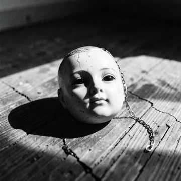 DOLL cover