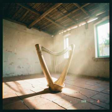 Afro House, Harp-infused afro house mixed with d cover