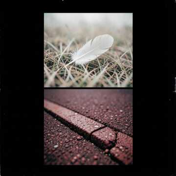 WOLAKOTA - STILL HERE cover