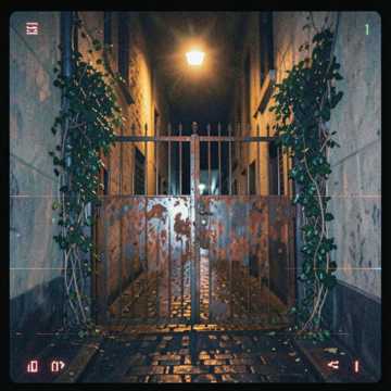 doaa (Cover) cover