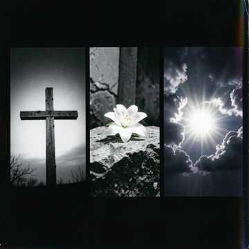 Thank You Jesus cover