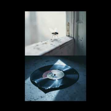 180 bpm, D# major, Hip Hop, R&B, Lo-Fi, Relaxing, cover