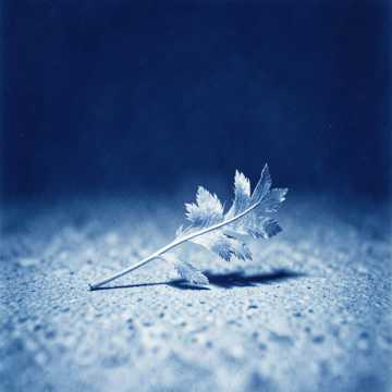 Empty Promise cover