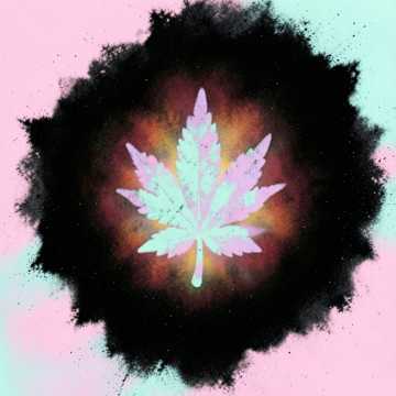 Live & Let Toke cover