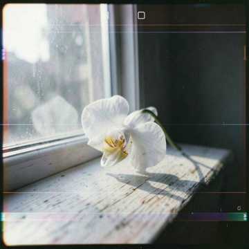 Fragile Love cover
