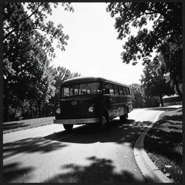 Happy Little Bus cover