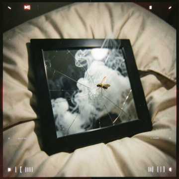 GoldenFly cover