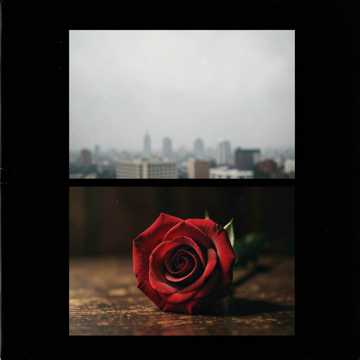 Pop, A love song cover