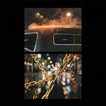 Viper in the Dash cover