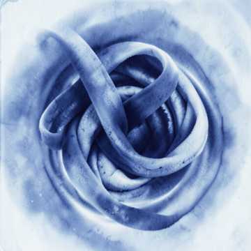 Vida mia cover