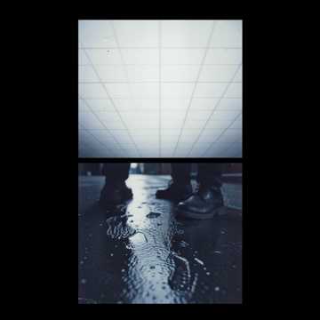 Walking sleeping people who think that they are wide awake cover