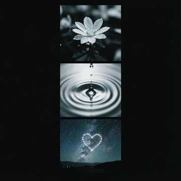 L'amour cover