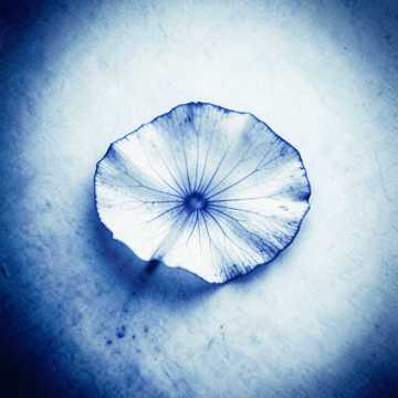 عشق cover