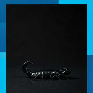 Scorpio cover