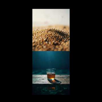 Noche De Verano — AI-generated cover art
