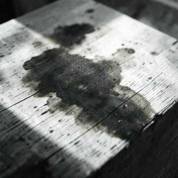 Tea Stains on Paper cover