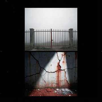 Everyone's Crazy cover