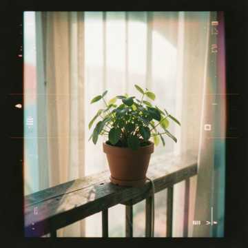 Love song cover