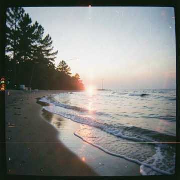 The Silver Shore cover