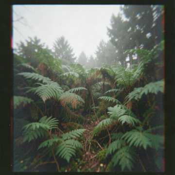 ambient, atmospheric soundscape, sound atmospher cover