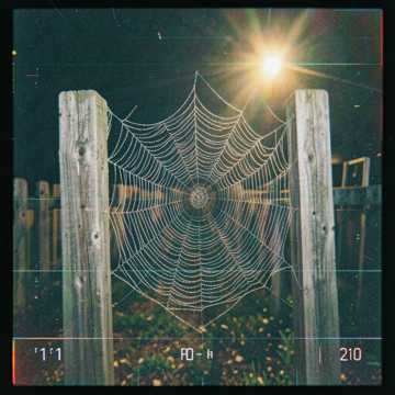 Sufficient Spider cover