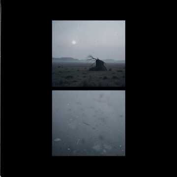 توری جنم رانگی جینے cover