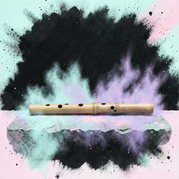 Draupadī's Grace cover