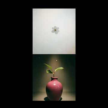 K-Pop, sonido nuevo de amor cover