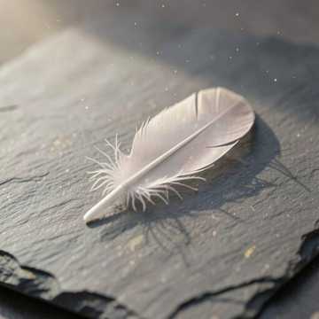 Broken Wings of an Impossible Wish cover