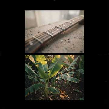 Lo-fi, Congolese rumba with sweet melodic guitar cover